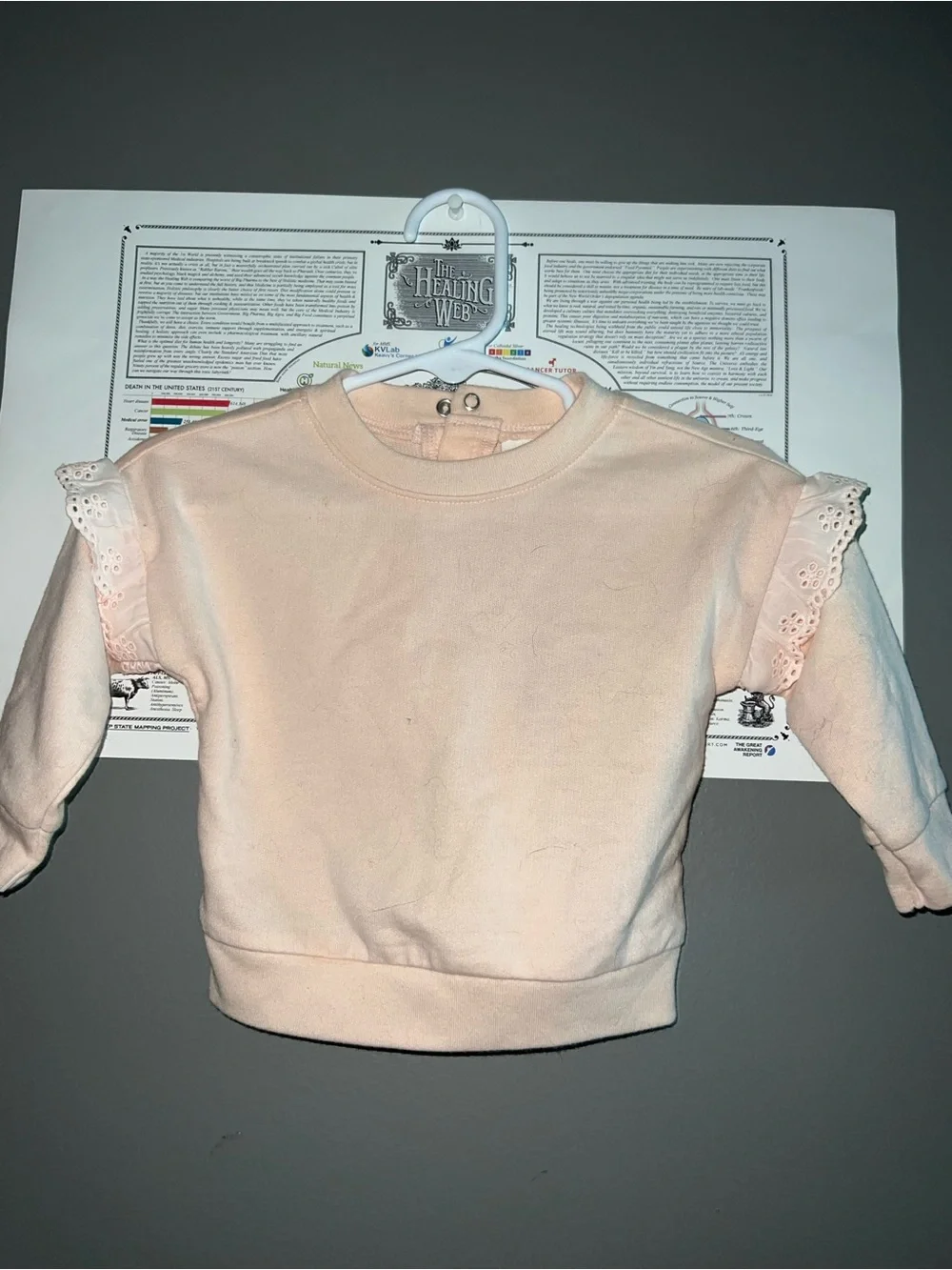 Cat & Jack Pink Eyelet Sleeve Sweatshirt
